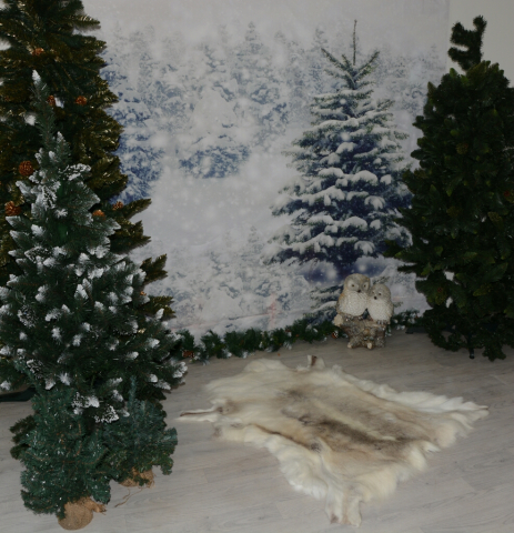 Rentierfell White Star Weiss